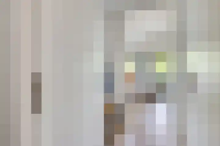 Standerdmolen 8 a 208 Houten thumbnail 30