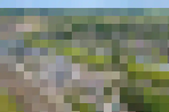 Standerdmolen 8 a 208 Houten thumbnail 38