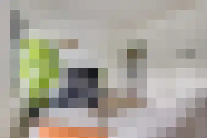 Standerdmolen 8 a 208 Houten thumbnail 4
