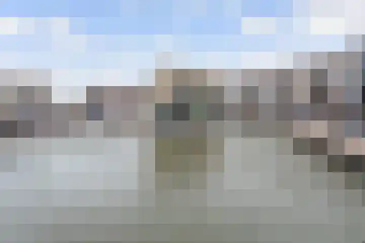 Standerdmolen 8 a 208 Houten thumbnail 41