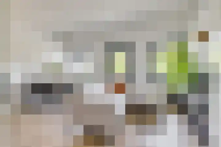 Standerdmolen 8 a 208 Houten thumbnail 5