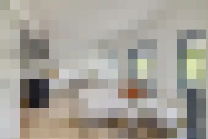 Standerdmolen 8 a 208 Houten thumbnail 8