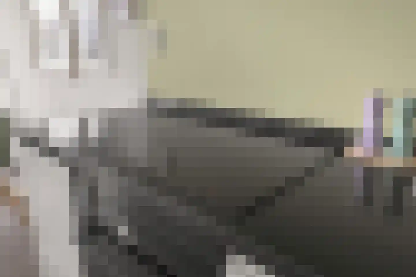 Standerdmolen 8 a 302 Houten thumbnail 11