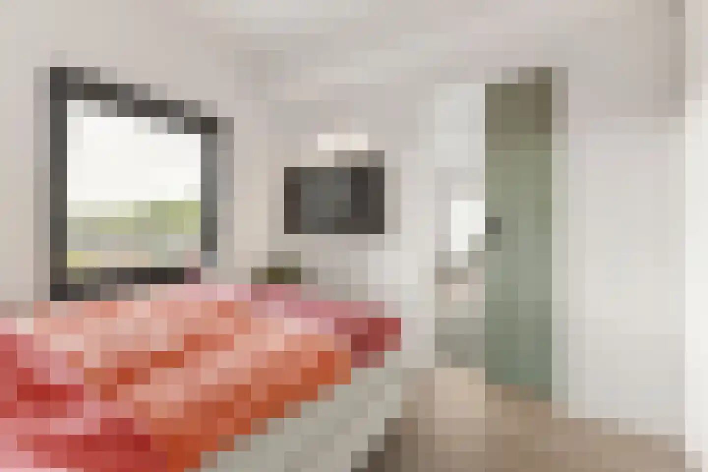Standerdmolen 8 a 302 Houten thumbnail 17