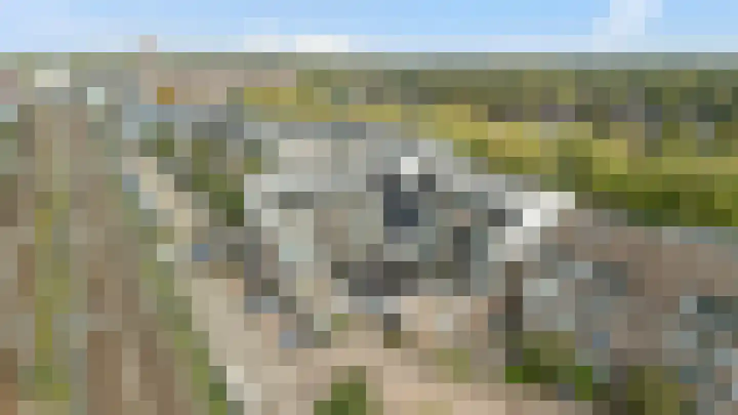 Standerdmolen 8 a 302 Houten thumbnail 24