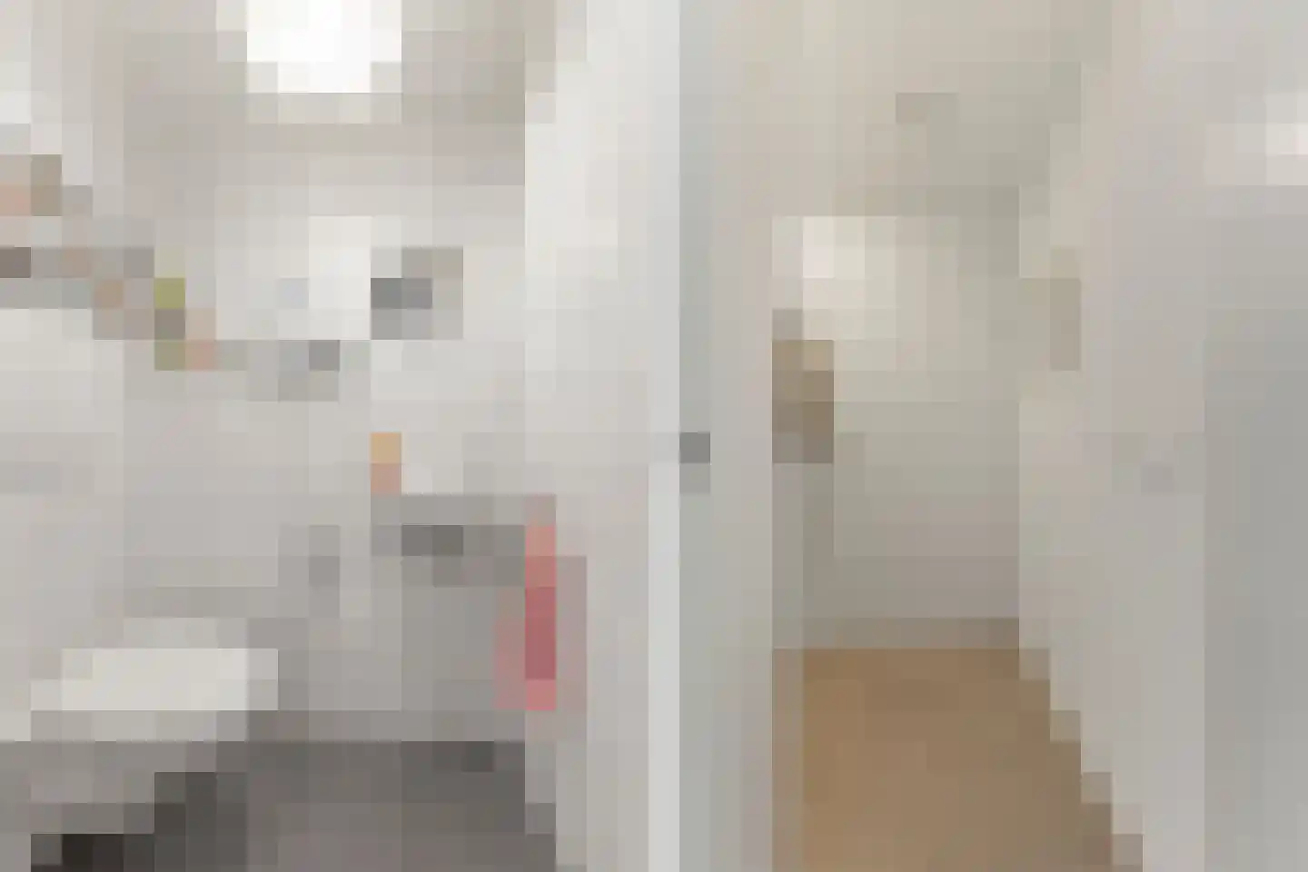 Standerdmolen 8 a 302 Houten thumbnail 4