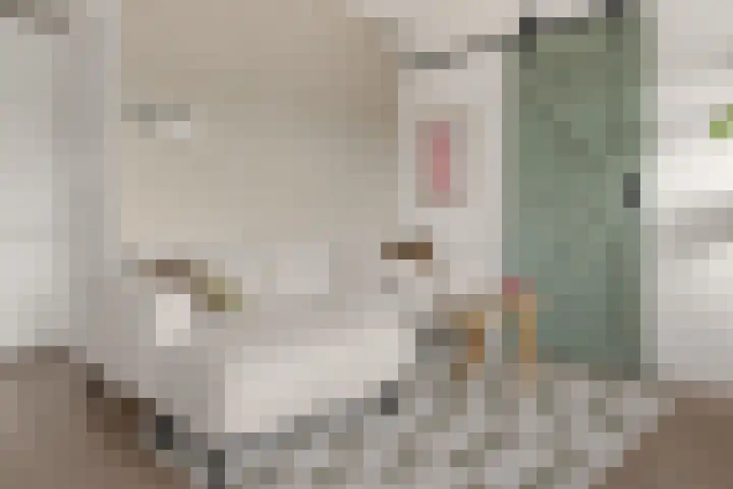 Standerdmolen 8 a 302 Houten thumbnail 5