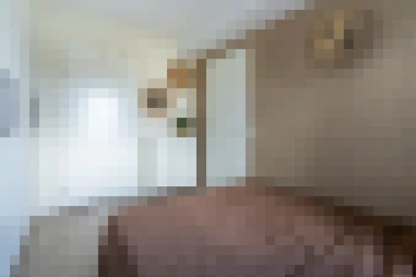 Standerdmolen 8 a 305 Houten thumbnail 16