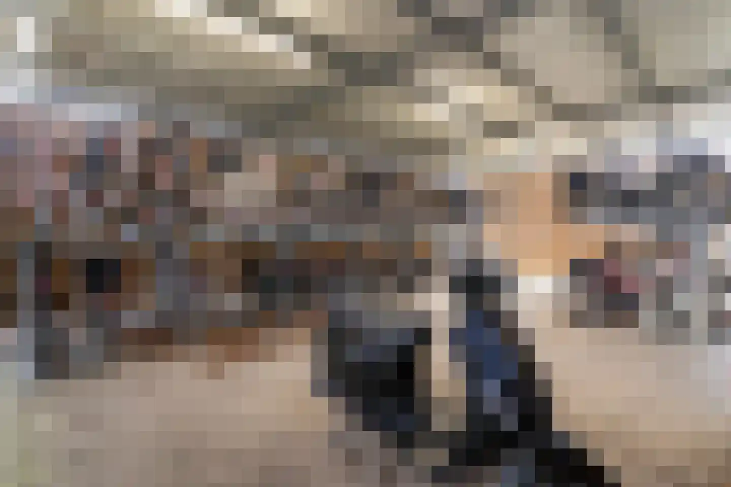 Standerdmolen 8 a 305 Houten thumbnail 29