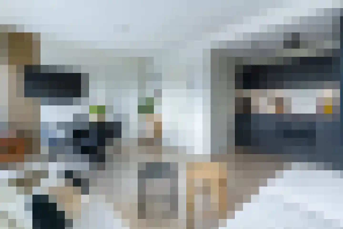 Standerdmolen 8 a 305 Houten thumbnail 5