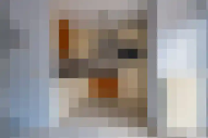 Standerdmolen 86 Herten thumbnail 11