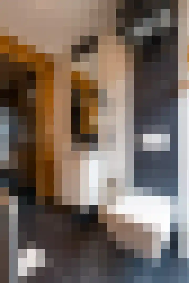 Standerdmolen 86 Herten thumbnail 19