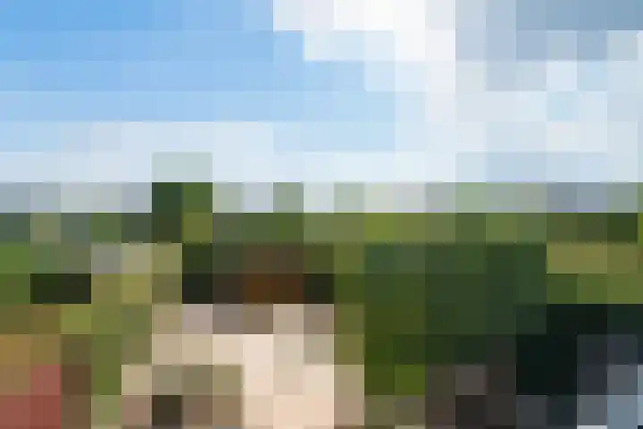 Standerdmolen 86 Herten thumbnail 24
