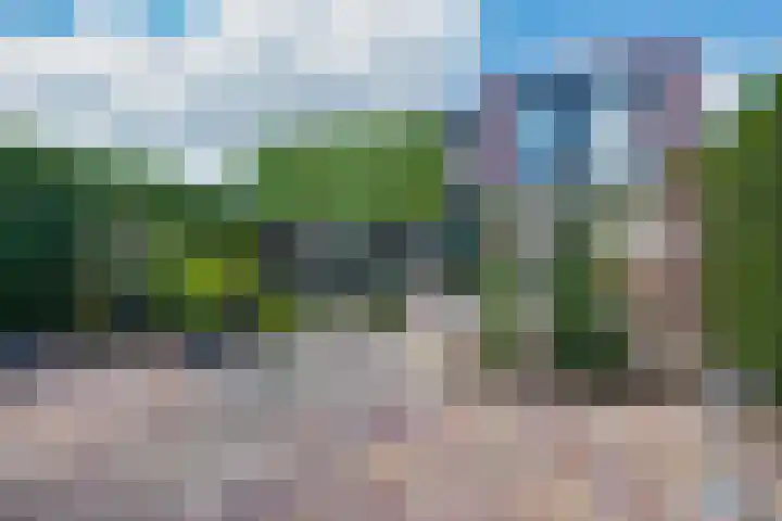 Standerdmolen 86 Herten thumbnail 34