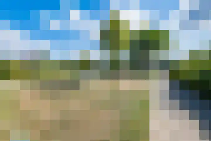 Standerdmolen 86 Herten thumbnail 38