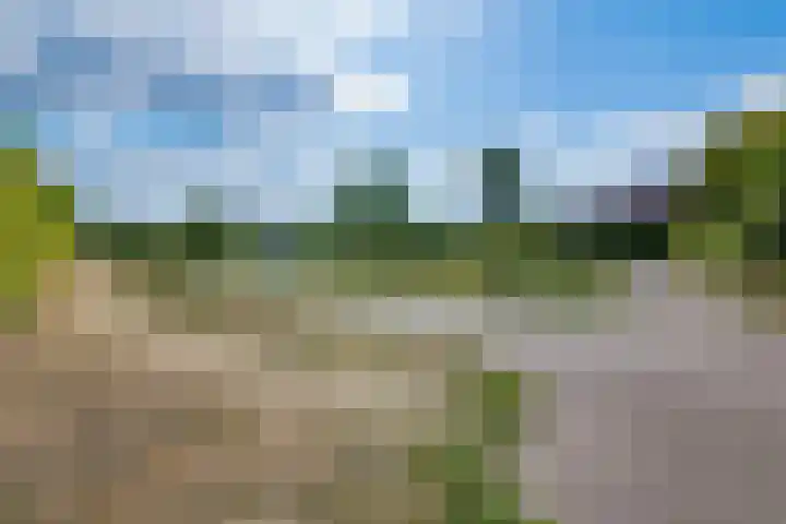 Standerdmolen 86 Herten thumbnail 39
