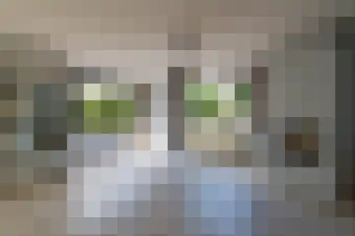 Standerdmolen 86 Herten thumbnail 6