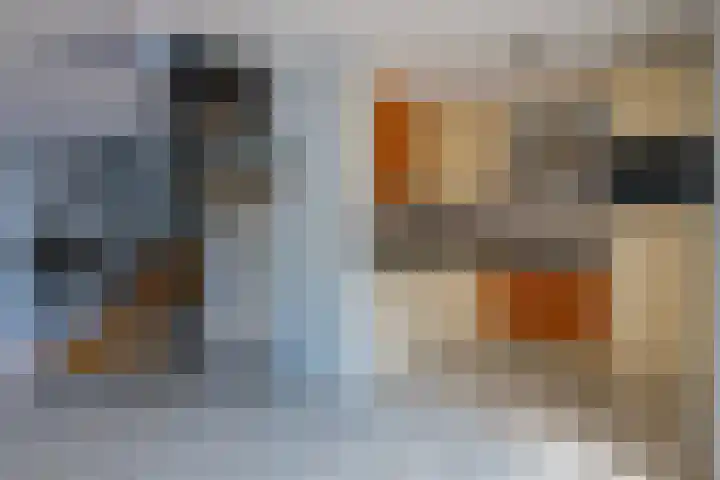 Standerdmolen 86 Herten thumbnail 9