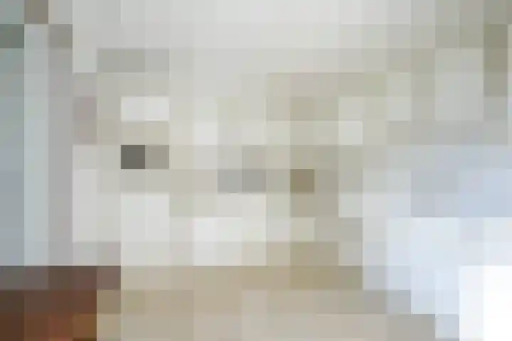 Standerdmolen 9 Vianen thumbnail 16