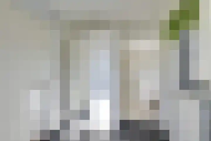 Standerdmolen 9 Vianen thumbnail 20