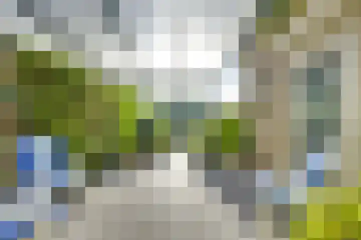 Standerdmolen 9 Vianen thumbnail 39