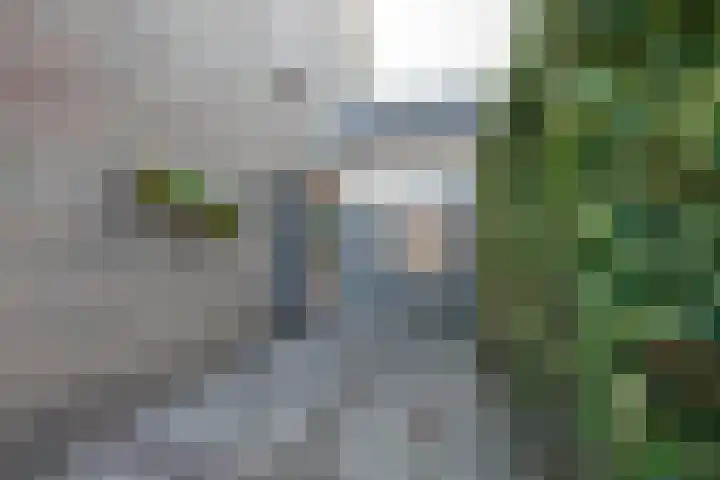 Standerdmolen 9 Vianen thumbnail 45