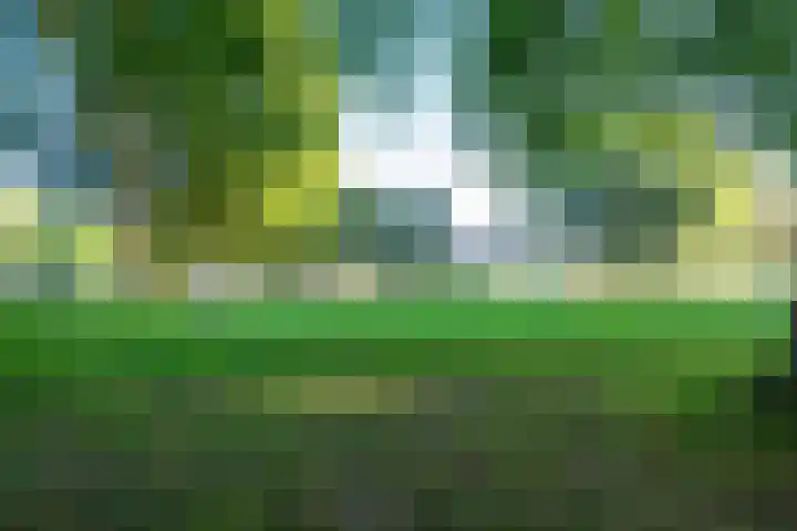 Standerdmolen 9 Vianen thumbnail 47