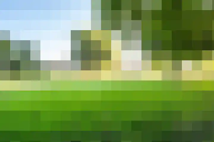 Standerdmolen 9 Vianen thumbnail 48
