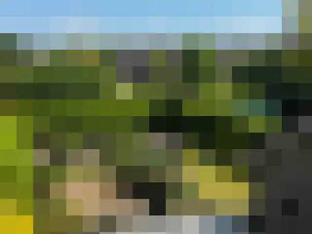 Standerdmolen 9 Vianen thumbnail 50