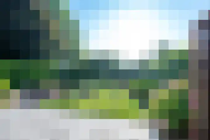 Standerdmolen 9 Vianen thumbnail 6
