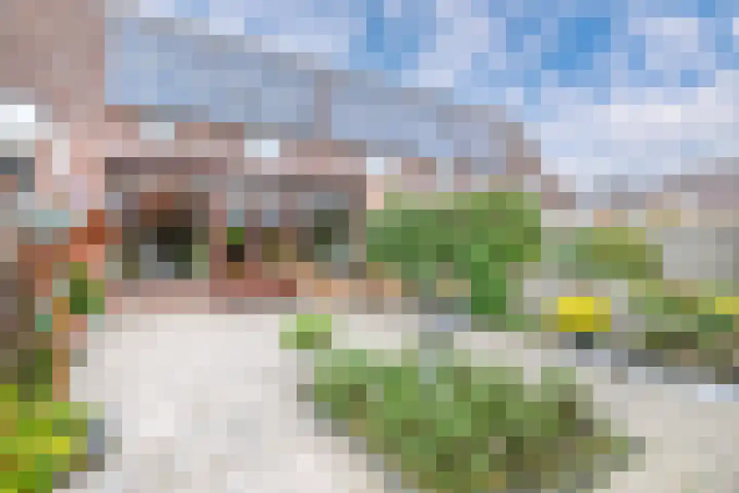 Standerdmolen 93 Puttershoek thumbnail 38