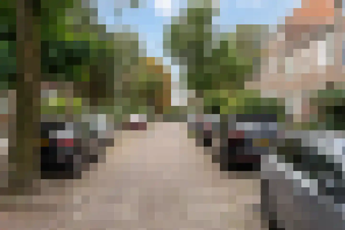 Standhasenstraat 95 Dordrecht thumbnail 39