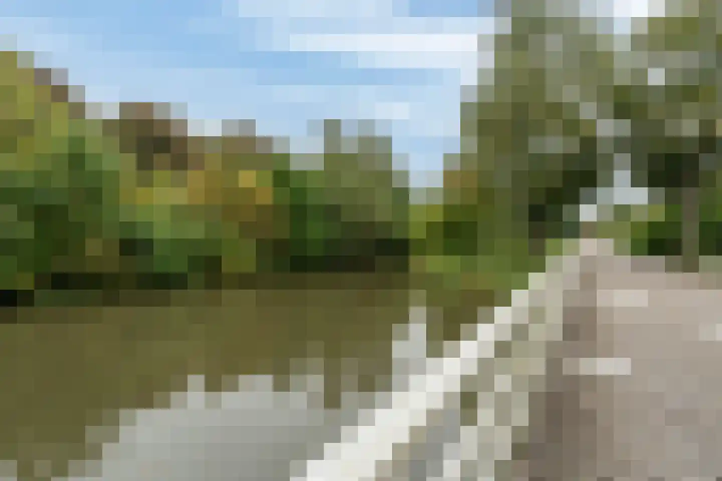 Standhasenstraat 95 Dordrecht thumbnail 45