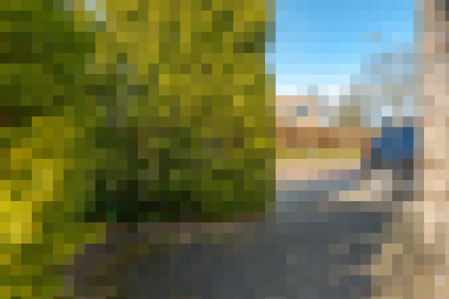 Standvoetbeker 20 Borger thumbnail 24