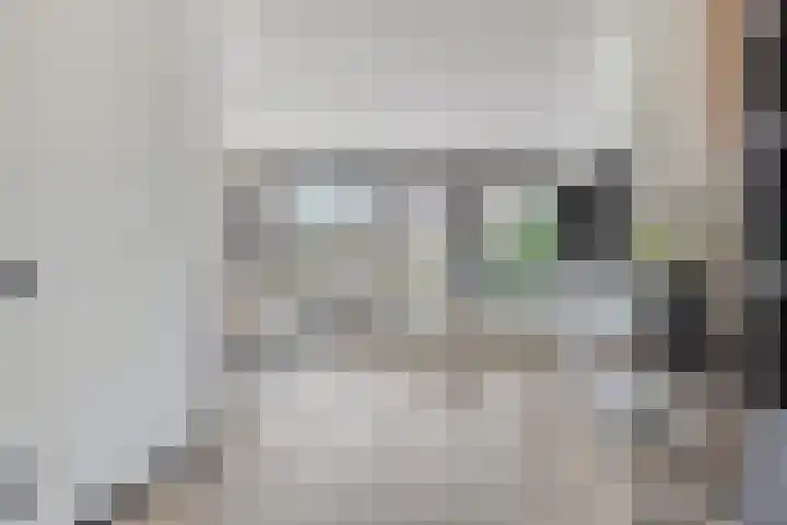 Standwerker 21 Ten Boer thumbnail 10