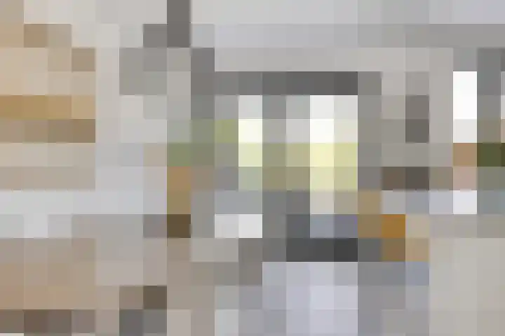 Standwerker 21 Ten Boer thumbnail 11