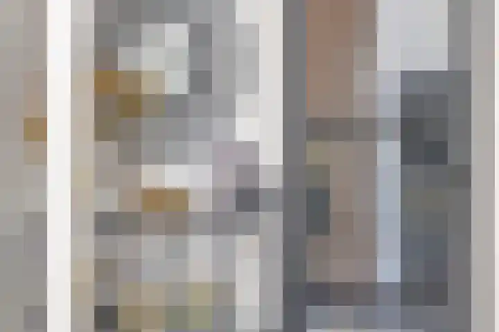 Standwerker 21 Ten Boer thumbnail 15