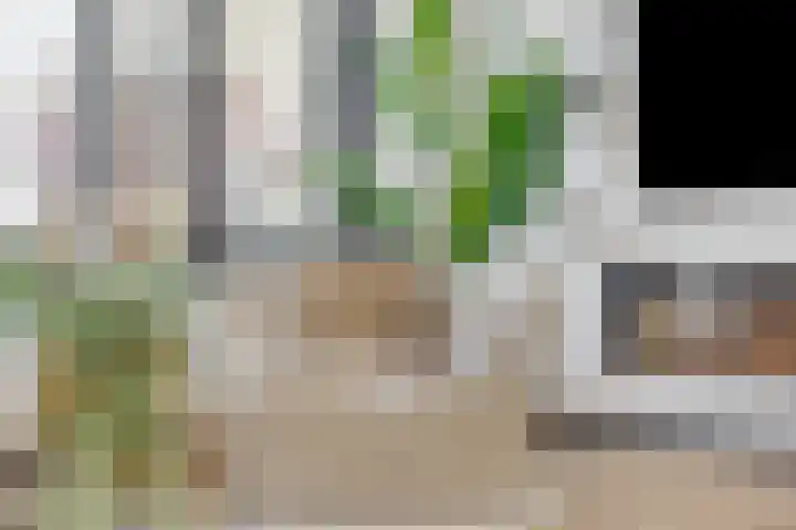 Standwerker 21 Ten Boer thumbnail 17