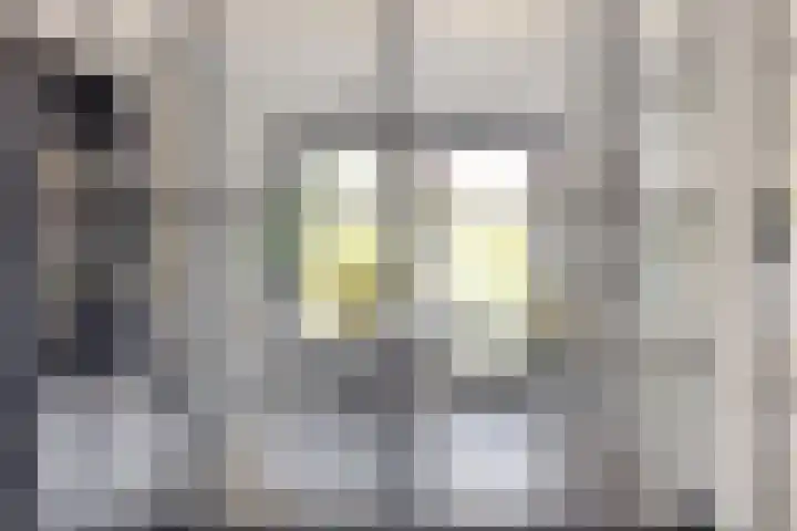 Standwerker 21 Ten Boer thumbnail 18