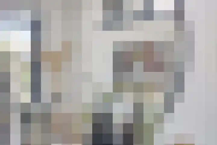 Standwerker 21 Ten Boer thumbnail 19