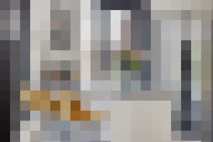 Standwerker 21 Ten Boer thumbnail 20