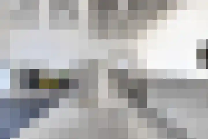 Standwerker 21 Ten Boer thumbnail 22