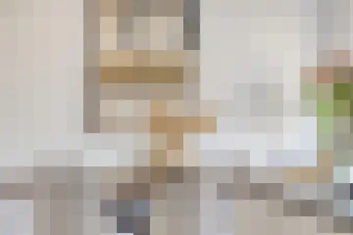 Standwerker 21 Ten Boer thumbnail 23