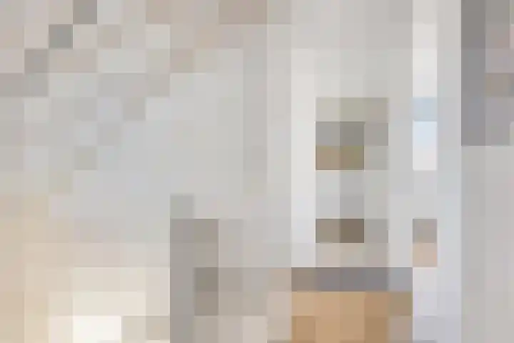 Standwerker 21 Ten Boer thumbnail 26
