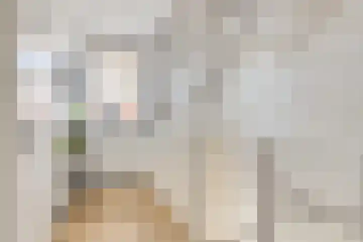 Standwerker 21 Ten Boer thumbnail 37