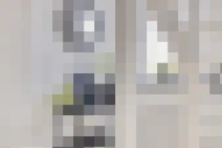 Standwerker 21 Ten Boer thumbnail 38