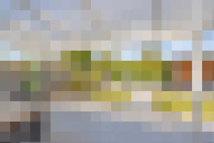Standwerker 21 Ten Boer thumbnail 42
