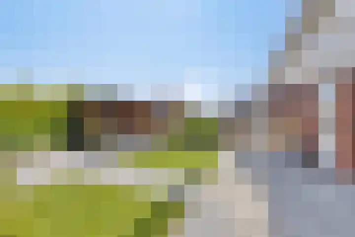 Standwerker 21 Ten Boer thumbnail 45