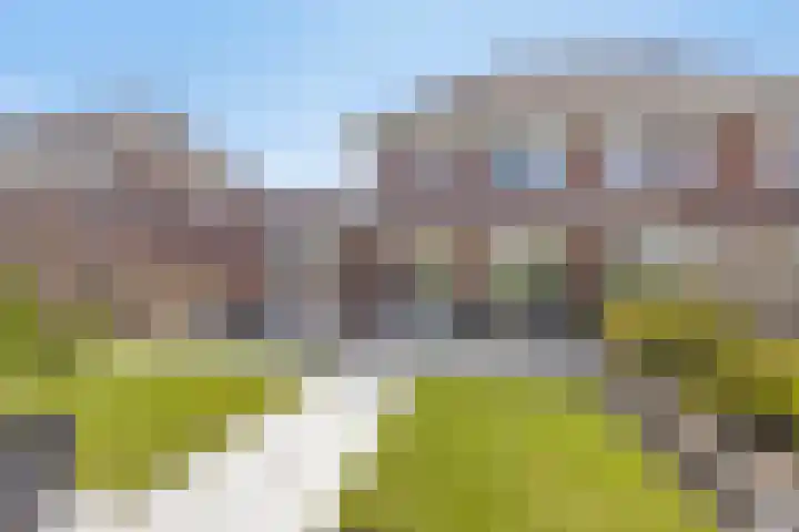 Standwerker 21 Ten Boer thumbnail 46