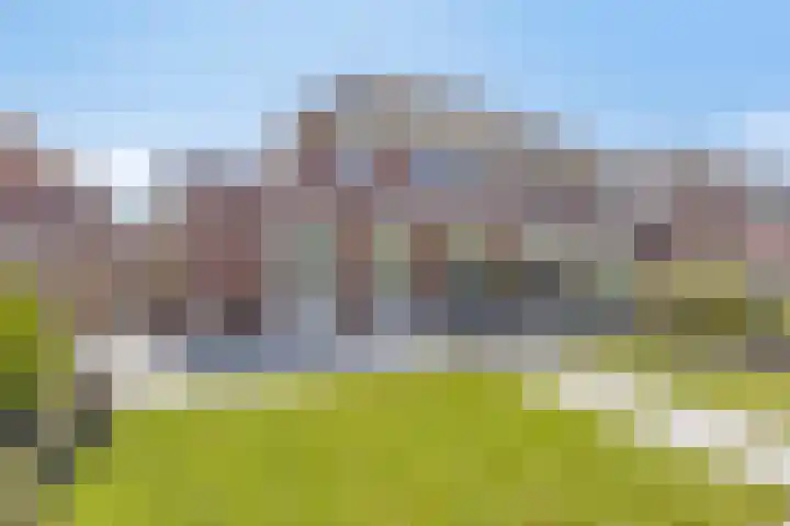Standwerker 21 Ten Boer thumbnail 47